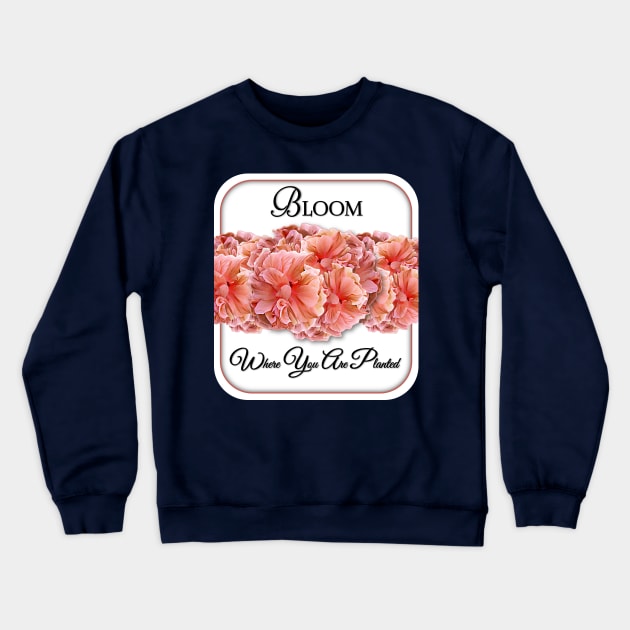 Bloom Where You Are Planted Crewneck Sweatshirt by MaryLinH